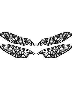 Dragonfly Wing Filigree, set/4