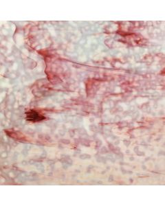 Youghiogheny White, Double Gold Pink Glass