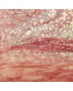 Youghiogheny Dark Pink, White Glass