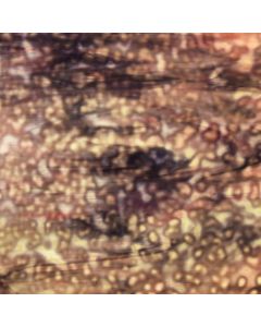 Youghiogheny Lavender, Pink, Purple Glass