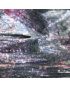 Youghiogheny Neodymium, Gold Pink Glass